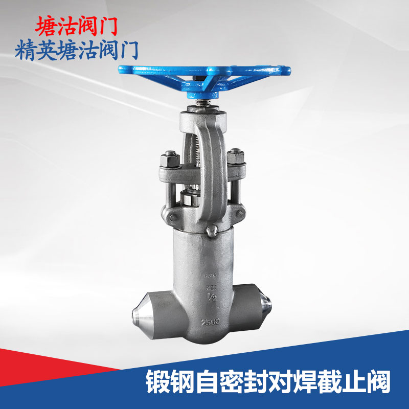 鍛鋼自密封對(duì)焊截止閥